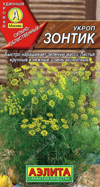 Укроп "Зонтик"